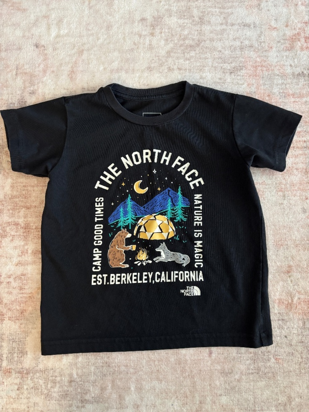 The North Face Kids Camping Graphic T-Shirt Black Size 3T